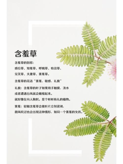 7d影院加盟| 低成本创业新选择 | 沉浸式体验馆投资前景分析