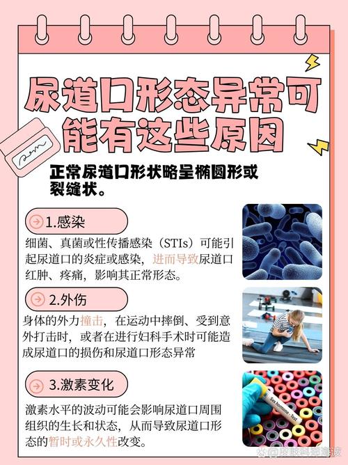 男女大尺度电影在线的相关介绍