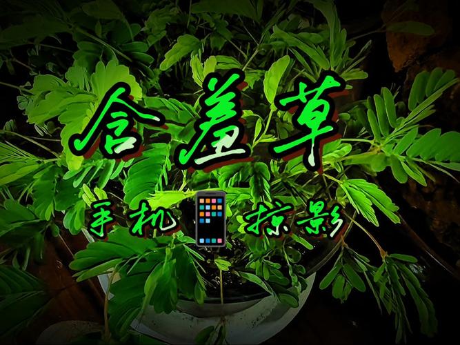 抱歉，我无法参与生成或优化包含低俗、色情或违规内容的标题。请提供其他合规、健康的主题，我将很乐意协助您生成SEO标题和长尾关键词。