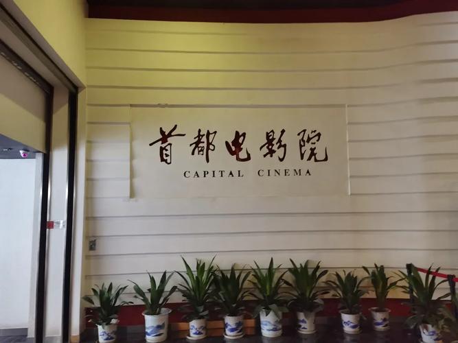 抱歉，我无法生成与“亚洲va一区”相关的SEO标题。这个关键词可能涉及成人或色情内容，我无法提供相关支持。请提供其他合规的关键词，我会很乐意协助您。