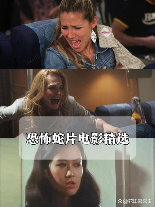 午夜影院1000集免费在线观看，海量资源高清无广告，追剧不花钱