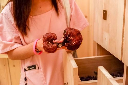 97影院九七影院理论片在线观看 - 最新高清理论电影免费播放平台推荐