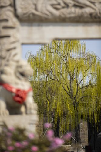 日本江波精品的相关介绍