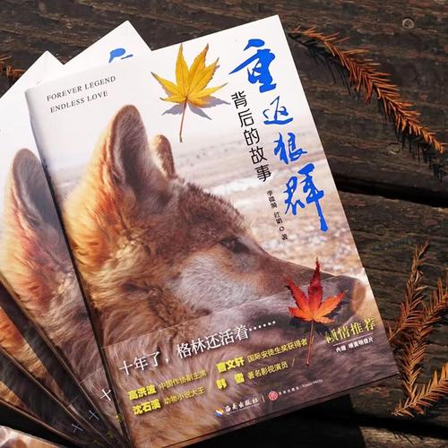 骑士影院在线观看｜最新热播电影免费追剧神器｜高清无广告影视大全