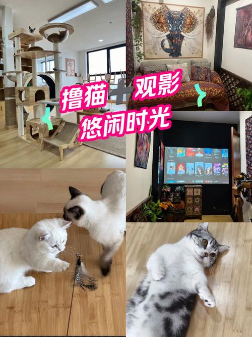 日本2少妇精油按摩：深层舒缓疲劳与身心放松的私密护理体验