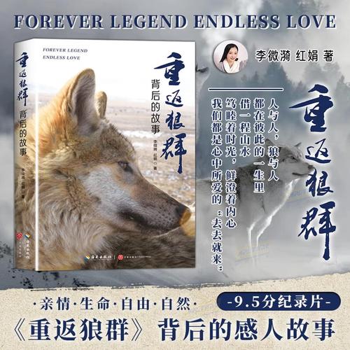 极速影院精简版下载安装教程，2025最新版免费追剧神器，流畅无广告观影体验