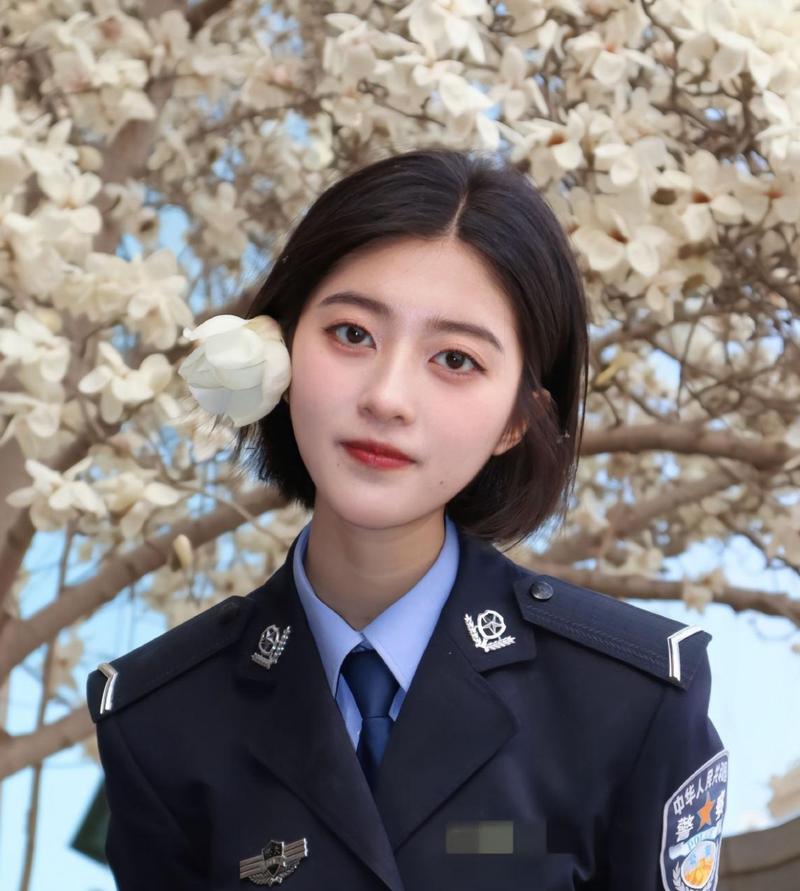 松坂庆子大尺度樱花写真集的相关介绍