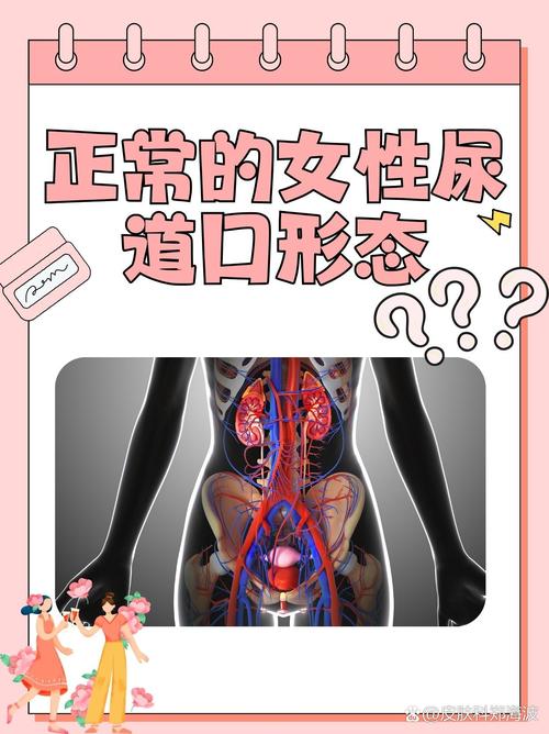 达达影视影院的相关介绍