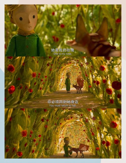 国内精品少妇av的相关介绍